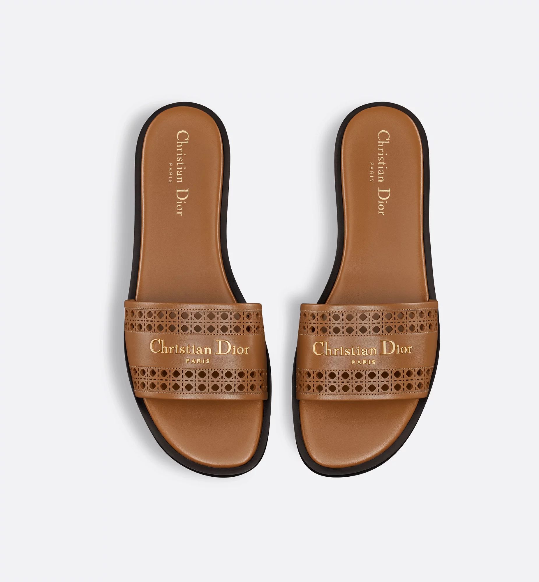 D-Lane Slide - Image 2